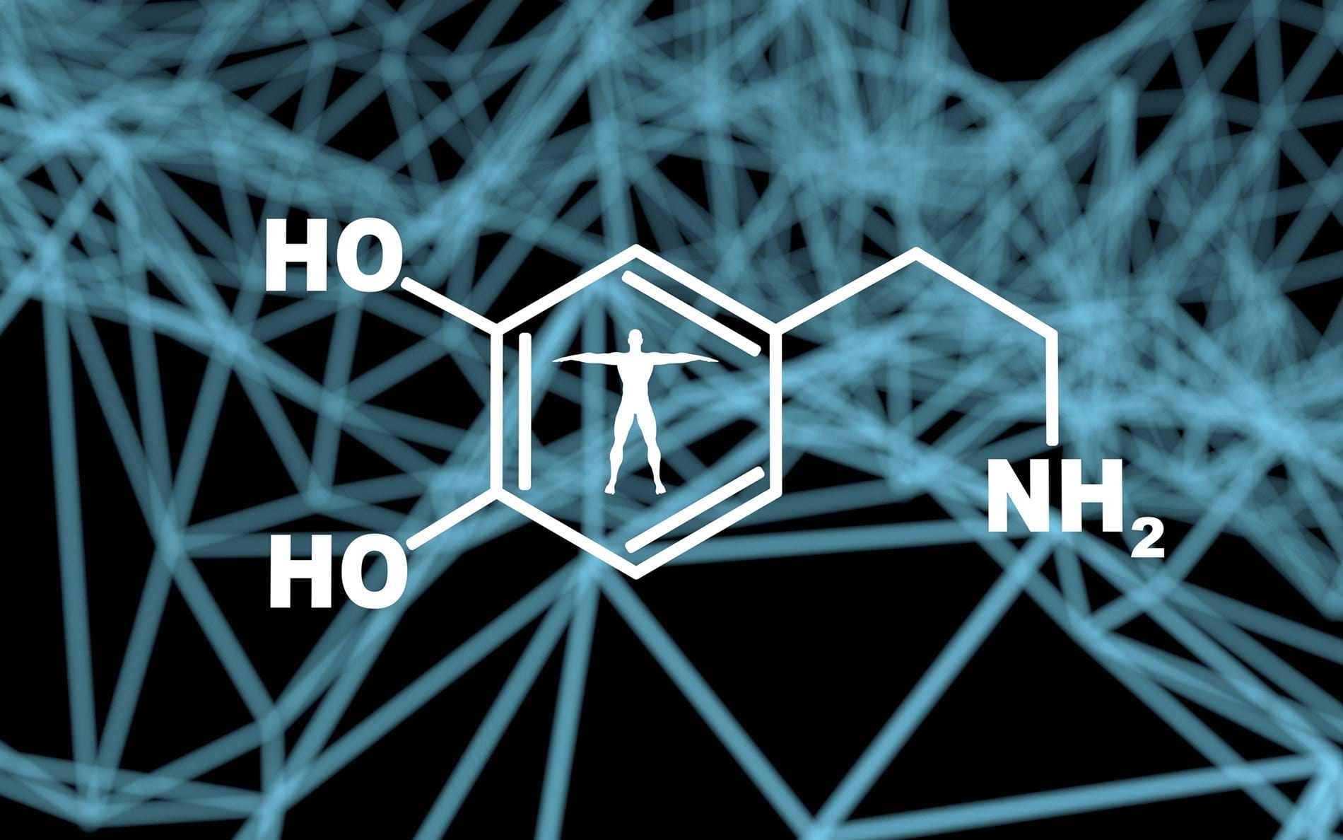 Hormones2 36f41eb5 2880w